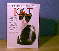 Fra killing til kat